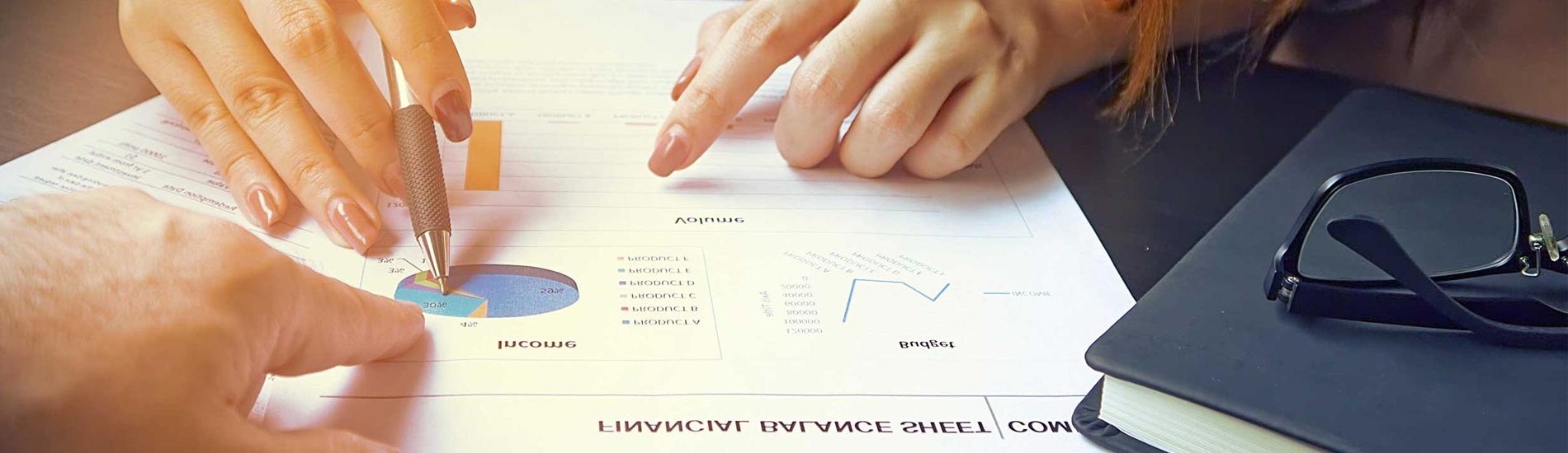 Chartered Accountant